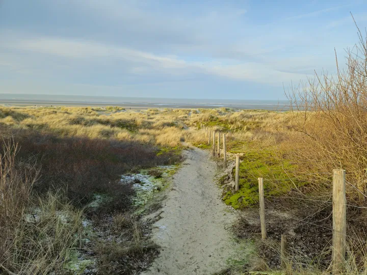 Oostnieuwkerke duinen wandeling in de koude (België)